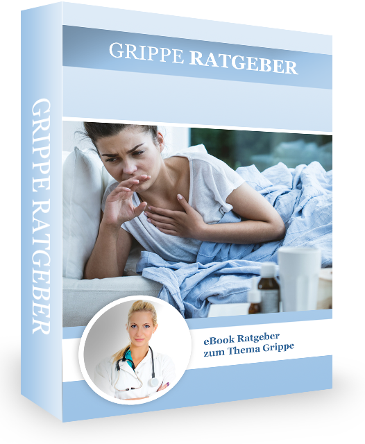 Book Cover: E-Book Ratgeber Grippe